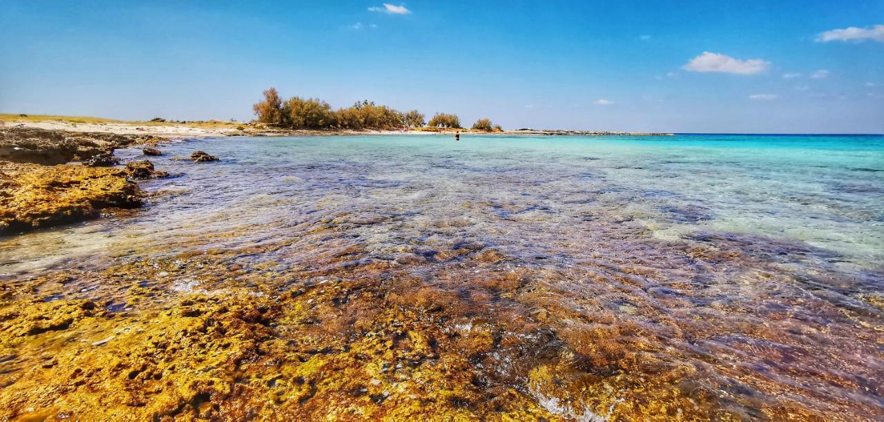 Casina Raho B&B Nardo Bagian luar foto
